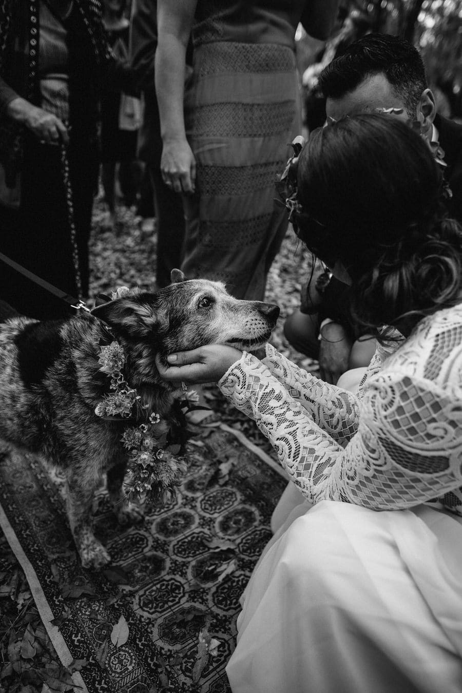 Festival wedding perth