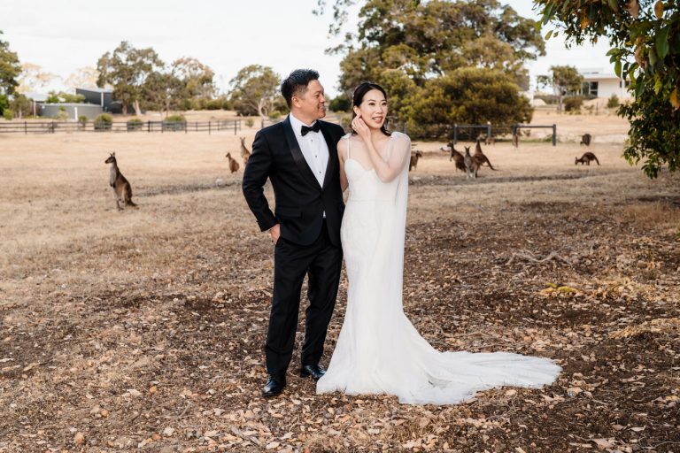 wedding dresses