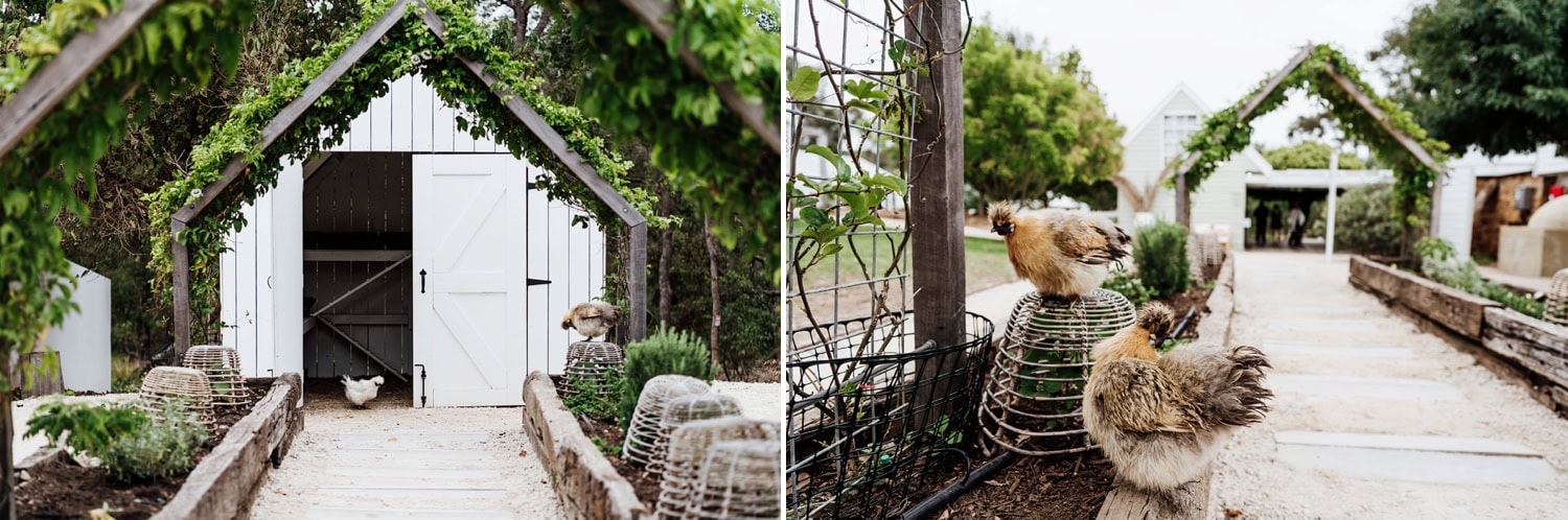 Meelup Farmhouse Wedding